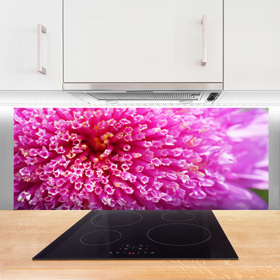 Panel Kuchenny Botaniczna Dekoracja Ścienna