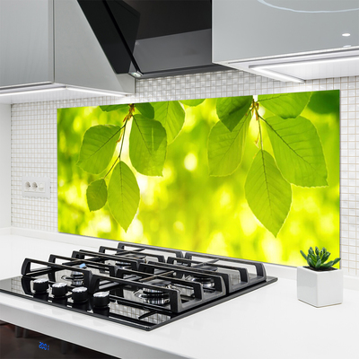 Panel Kuchenny Zielone Liście W Stylu Modern