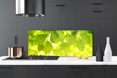 Panel Kuchenny Zielone Liście W Stylu Modern