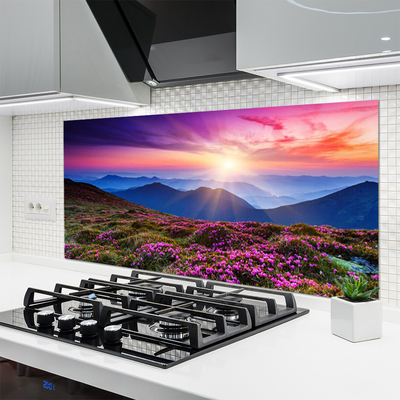 Panel Kuchenny Kwiatowa Polana W Górach