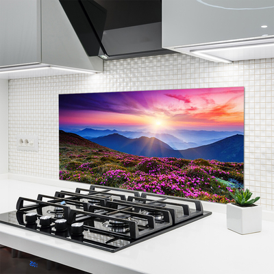 Panel Kuchenny Kwiatowa Polana W Górach