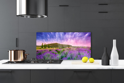 Szkło do Kuchni na Ścianę Alpejska Łąka W Kwiatach