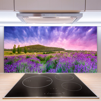 Szkło do Kuchni na Ścianę Alpejska Łąka W Kwiatach