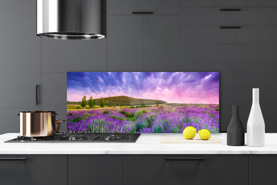 Szkło do Kuchni na Ścianę Alpejska Łąka W Kwiatach