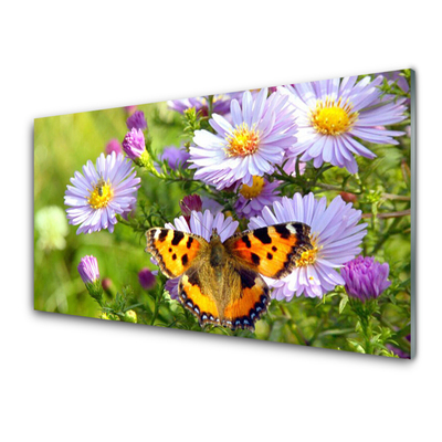 Panel Kuchenny Kwiaty Motyl Roślina Natura