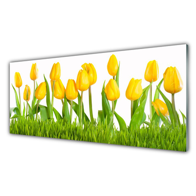 Panel Kuchenny Tulipany Na Ścianę