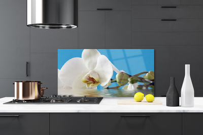 Szkło do Kuchni na Ścianę Botaniczny Portret Kwiatu