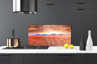 Szkło Ozdobne do Kuchni Egzotyczna Pustynia I Piasek