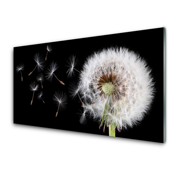 Szkło do Kuchni na Ścianę Puszysty Mniszek Lekarski