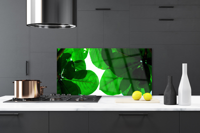 Panel Kuchenny Stylowy Motyw Botaniczny