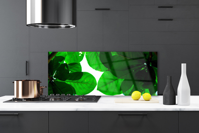 Panel Kuchenny Stylowy Motyw Botaniczny