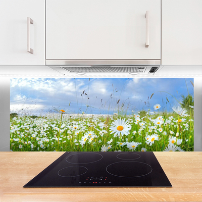 Panel Kuchenny Dywan Białych Stokrotek