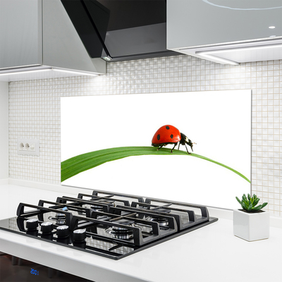 Panel Kuchenny Mała Biedronka W Trawie