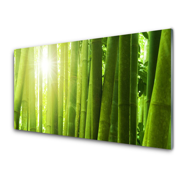 Panel Kuchenny Bambus Roślina
