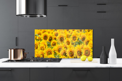 Panel Kuchenny Słonecznik Roślina Przyroda