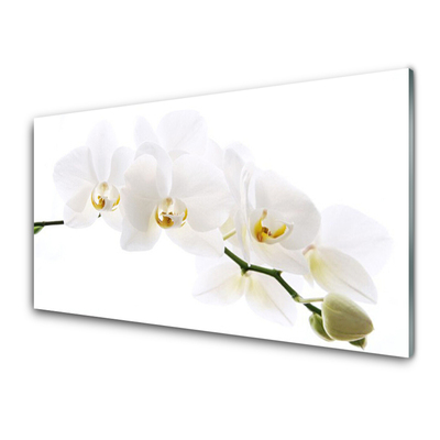 Panel Kuchenny Kwiaty Orchidea