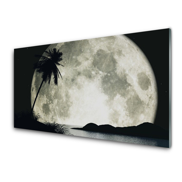 Panel Kuchenny Noc Księżyc Palma Krajobraz