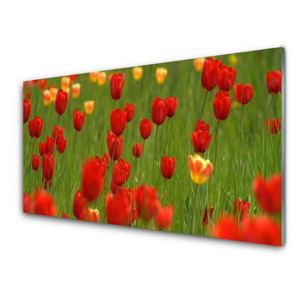 Panel Kuchenny Tulipany Roślina