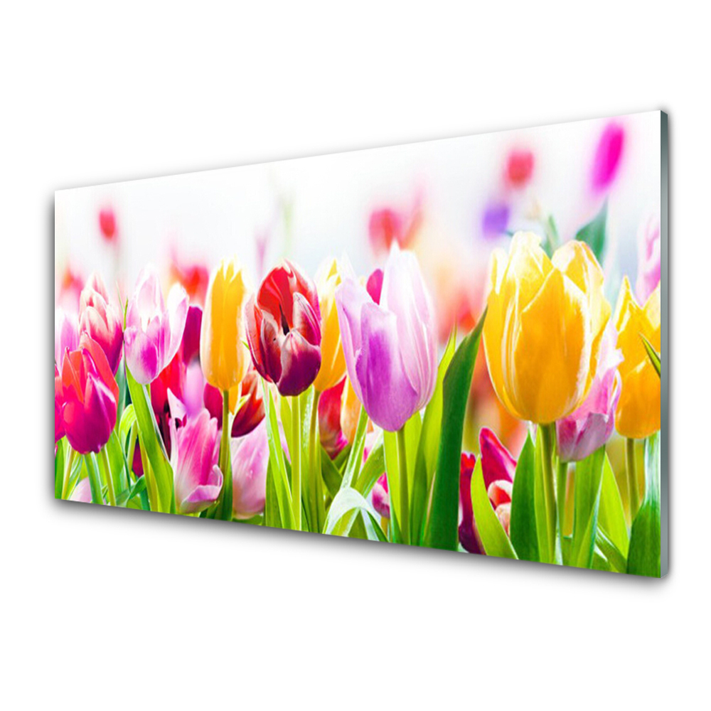 Panel Kuchenny Tulipany Kwiaty