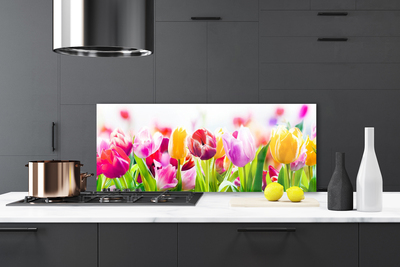 Szkło nad Blatem Tulipany W Porannym Słońcu