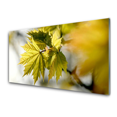 Panel Kuchenny Świeże Liście W Przybliżeniu