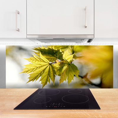 Panel Kuchenny Świeże Liście W Przybliżeniu