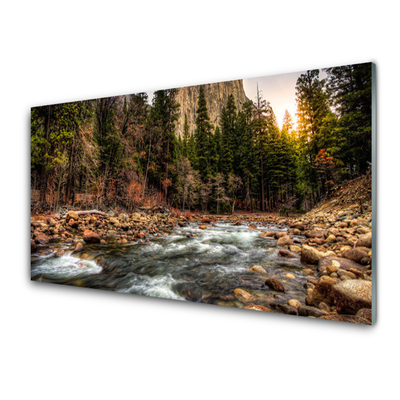 Panel Szklany do Kuchni Jezioro W Objęciach Lasu