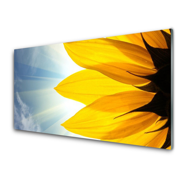 Panel Szklany do Kuchni Delikatne Płatki Kwiatowe