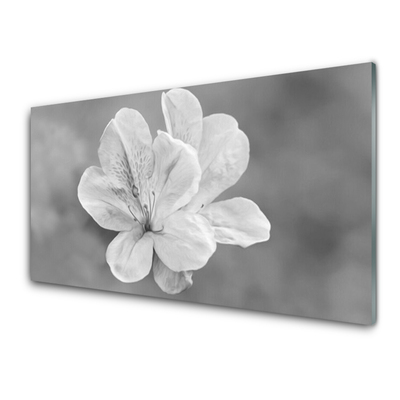 Panel Kuchenny Kolorowy Ogród Na Szkle