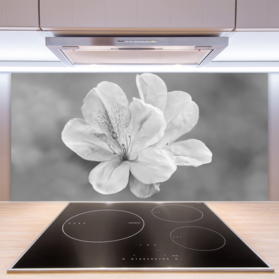 Panel Kuchenny Kolorowy Ogród Na Szkle