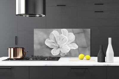 Panel Kuchenny Kolorowy Ogród Na Szkle