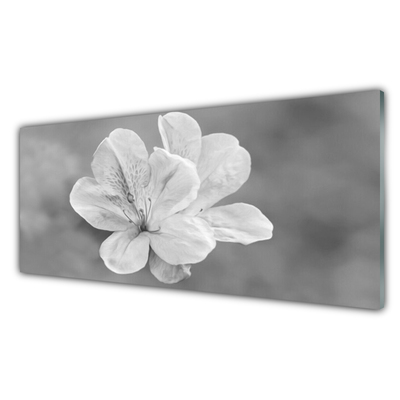 Panel Kuchenny Kolorowy Ogród Na Szkle