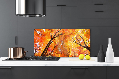 Szkło do Kuchni na Ścianę Gęsty Las Liściasty