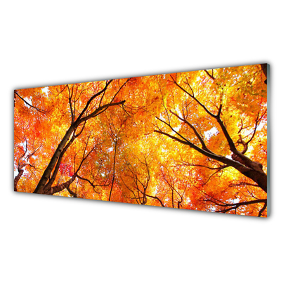 Szkło do Kuchni na Ścianę Gęsty Las Liściasty