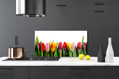 Panel Kuchenny Tulipany Roślina
