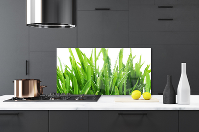 Panel Szklany do Kuchni Soczysta Zielona Trawa