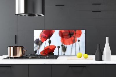 Panel Kuchenny Polne Maki W Rozkwicie