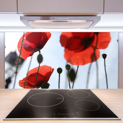 Panel Kuchenny Polne Maki W Rozkwicie