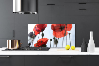 Panel Kuchenny Polne Maki W Rozkwicie