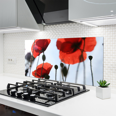 Panel Kuchenny Polne Maki W Rozkwicie