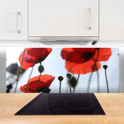 Panel Kuchenny Polne Maki W Rozkwicie