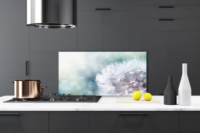 Szkło do Kuchni na Ścianę Puszysty Mniszek Lekarski