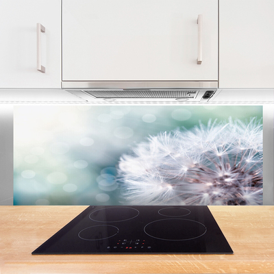 Szkło do Kuchni na Ścianę Puszysty Mniszek Lekarski