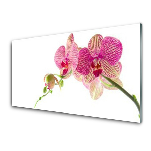 Panel nad blat kuchenny Bukiet Polnych Kwiatów