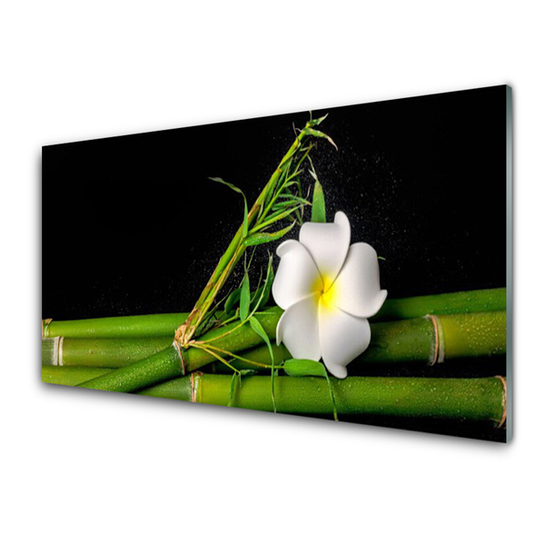 Panel Kuchenny Bambus Kwiat Roślina