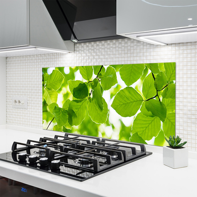 Panel Kuchenny Detal Egzotycznego Liścia