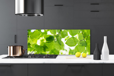 Panel Kuchenny Detal Egzotycznego Liścia