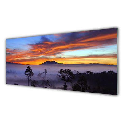 Szkło do Kuchni na Ścianę Las We Mglisty Poranek