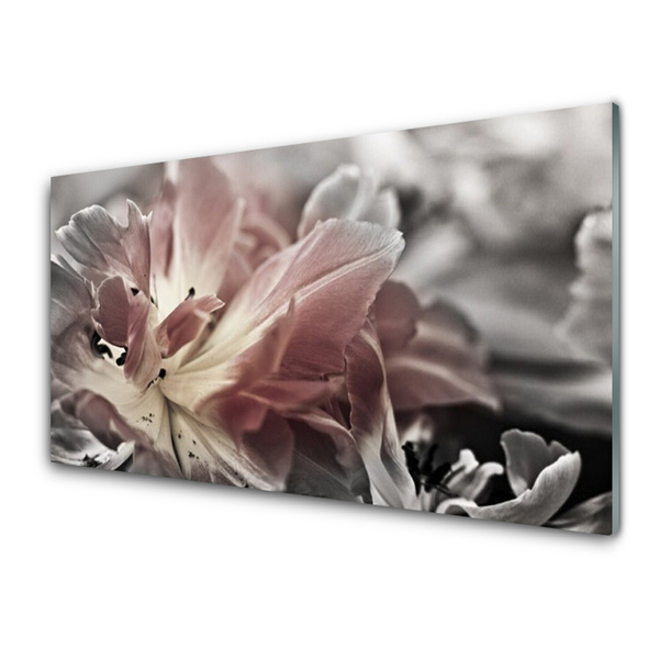 Panel Kuchenny Graficzna Synteza Barw