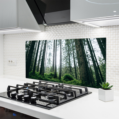 Szkło nad Blatem Promienie Słońca W Lesie